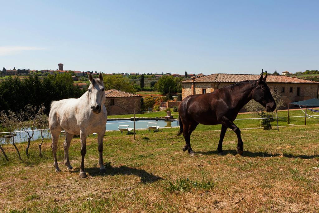 Agriturismo La Collina Pienza Exterior photo